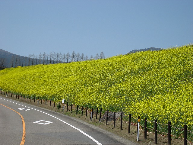20110309-IMG_0022.jpg