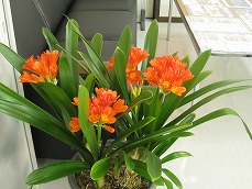 20110316-IMG_2499.jpg