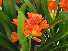 20110316-IMG_2500.jpg