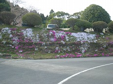 20110325-IMG_2540.jpg