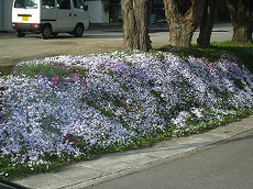 20110325-IMG_2541.jpg