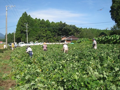 20110818-IMG_2540.jpg