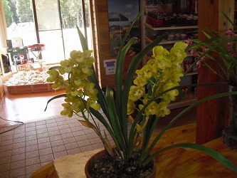 20120314-CIMG5594.jpg