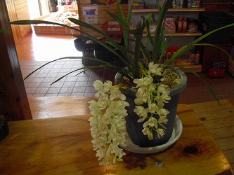 20120314-CIMG5596.jpg