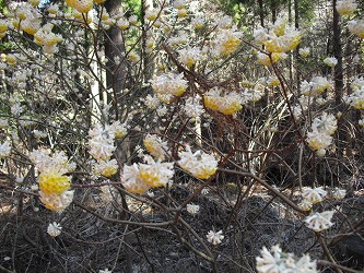 20120325-CIMG5698.jpg