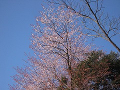 20120401-IMG_5266.jpg