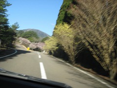 20120401-IMG_5267.jpg