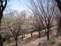 20120401-IMG_5269.jpg