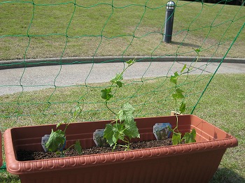 20120523-IMG_5516.jpg