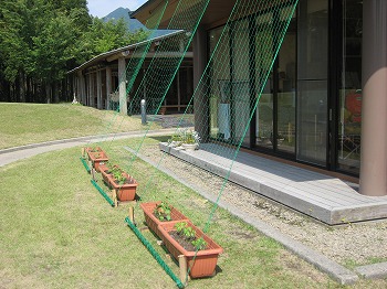 20120523-IMG_5517.jpg