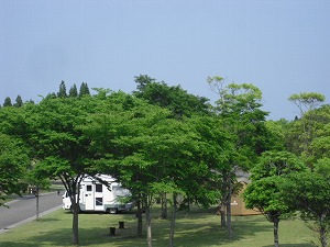 20120529-CIMG6117.jpg