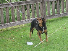 20120815-IMG_2464.jpg