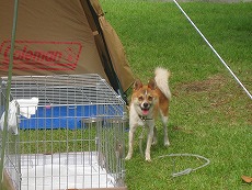 20120815-IMG_2466.jpg