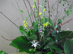 20120910-CIMG6725.jpg