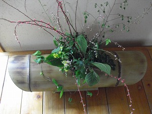 20120910-CIMG6726.jpg