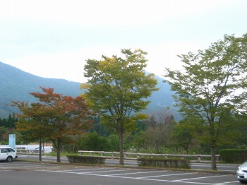 20121010-IMG_0002.jpg