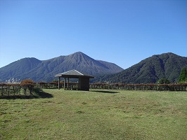 20121019-017.jpg