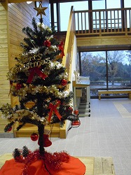 20121104-CIMG7033.jpg