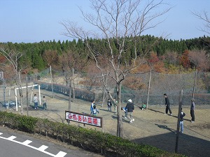 20121125-011.jpg