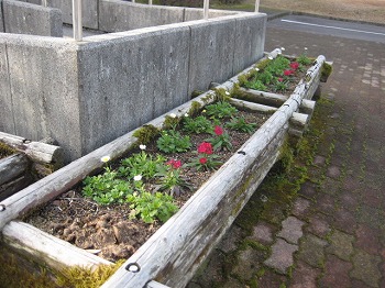 20121201-IMG_0206.jpg