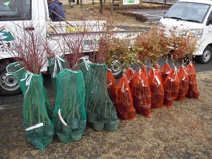 20121202-001.jpg