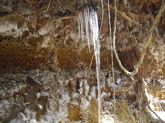 20121219-CIMG5435.jpg