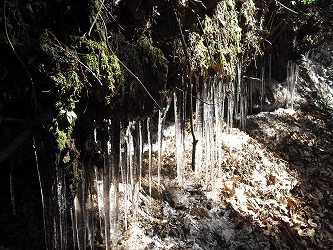 20121219-CIMG5439.jpg