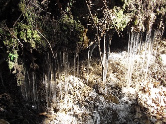 20121219-CIMG5440.jpg