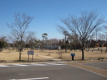 20130118-IMG_0431.jpg