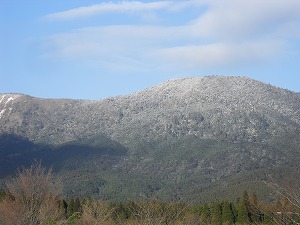 20130131-CIMG5265.jpg