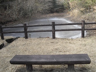 20130131-CIMG5274.jpg