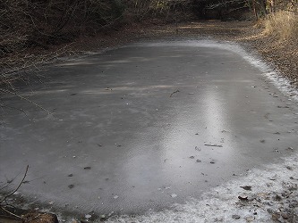 20130131-CIMG5275.jpg