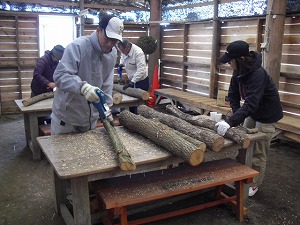 20130224-049.jpg