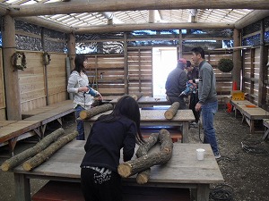 20130224-066.jpg