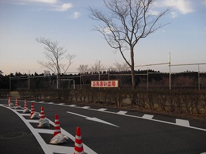 20130306-036.jpg