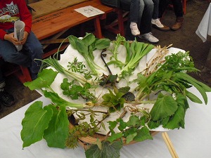 20130323-CIMG7805.jpg