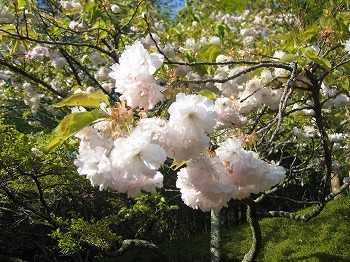 20130412-IMG_0740.jpg