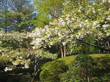 20130412-IMG_0741.jpg