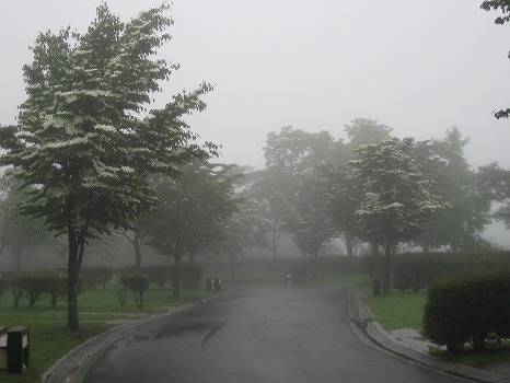20130611-IMG_0828.jpg