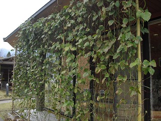 20131114-CIMG9676.jpg