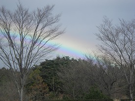 20131224-073.jpg