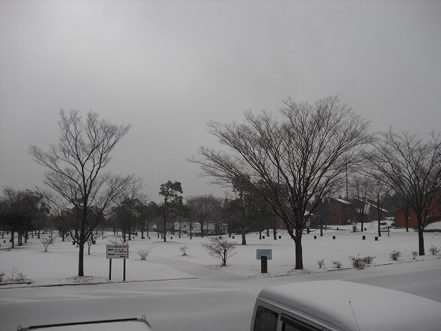 20140206-CIMG9924.jpg