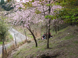 20140405-IMG_1308.jpg