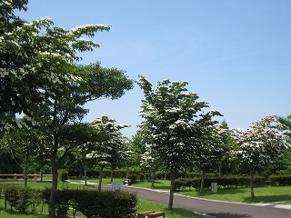20140512-IMG_0289.jpg