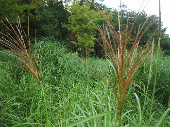20140907-IMG_1637.jpg