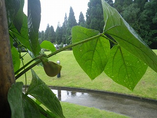 20140921-011.jpg