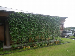 20140921-012.jpg