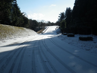 20141222-RIMG0779.jpg
