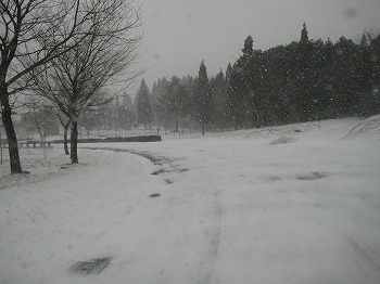 20150101-IMG_1919.jpg
