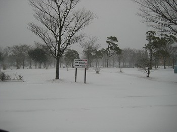 20150101-IMG_1921.jpg
